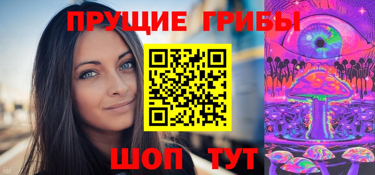 Псилоцибиновые грибы GOLDEN TEACHER  Вход с VPN  Псилоцибиновые грибы Cubensis  Благовещенск 