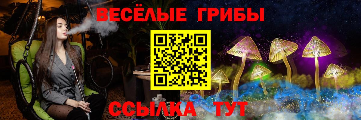 Псилоцибиновые грибы MAGIC MUSHROOMS Благовещенск